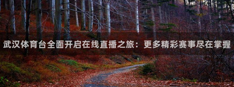 蜘蛛直播免费nba：武汉体育台全面开启在线直播之旅：更多精彩赛事尽在掌握