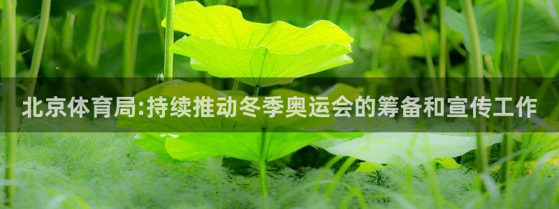 蜘蛛直播免费观看：北京体育局:持续推动冬季奥运会的筹备和宣传工作