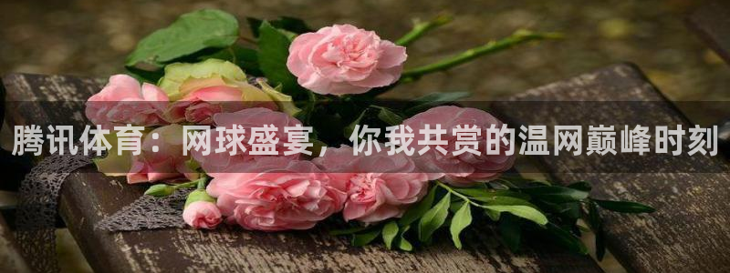 蜘蛛直播回放在哪看：腾讯体育：网球盛宴，你我共赏的温网巅峰时刻