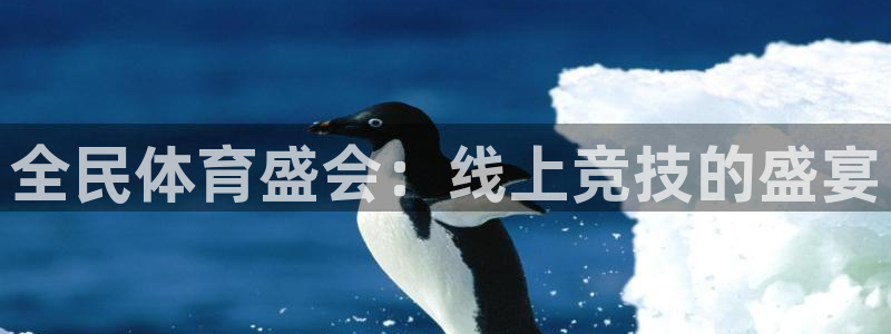 蜘蛛直播吧：全民体育盛会：线上竞技的盛宴