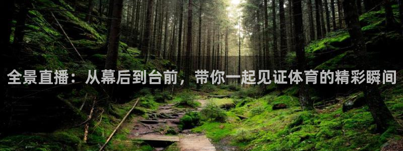 蜘蛛直播在线足球：全景直播：从幕后到台前，带你一起见证体育的精彩瞬间